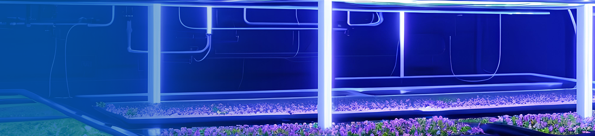 尊龙凯时·(中国游)官方网站